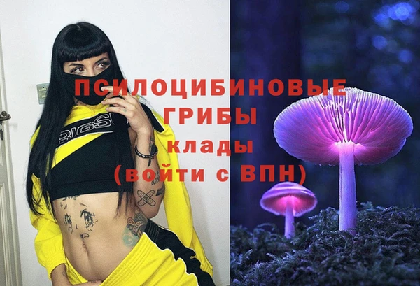 метадон Абаза